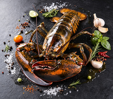 Whole Lobster