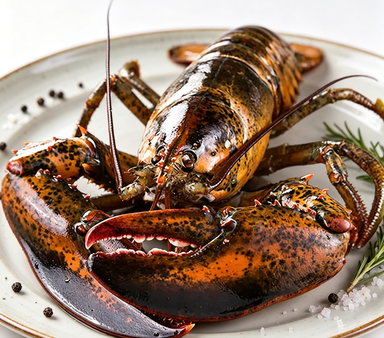 Whole Lobster